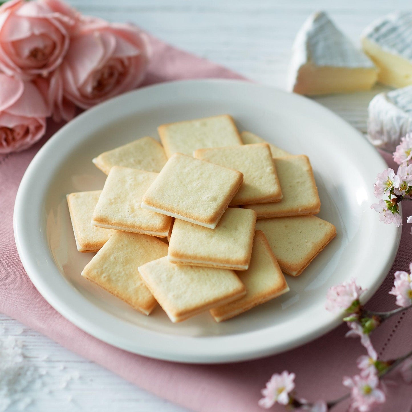 Salt & Camembert